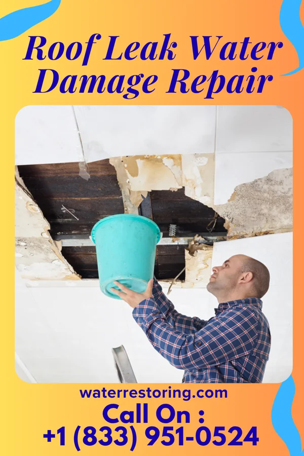 Roof Leak Water Damage Repair in Pyatt, AR
